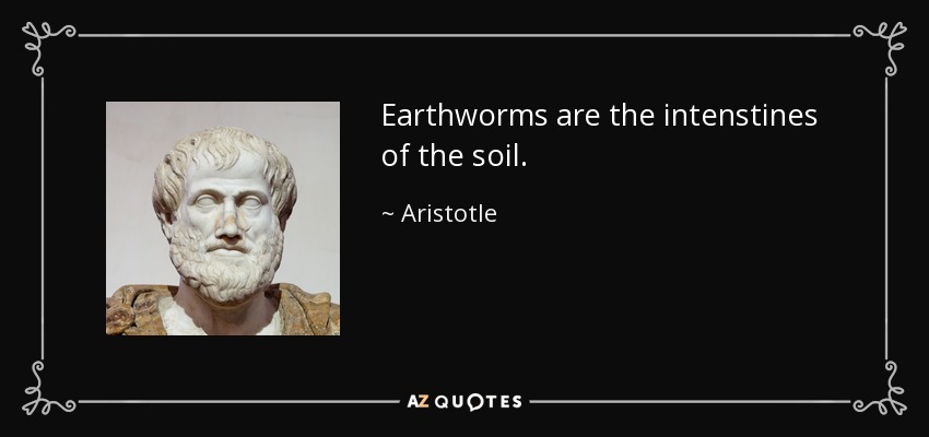 Earthworms are the intenstines of the soil. - Aristotle