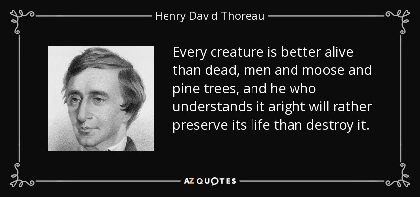 Every creature is better alive than dead, men and moose and pine trees, and he who understands it aright will rather preserve its life than destroy it. - Henry David Thoreau