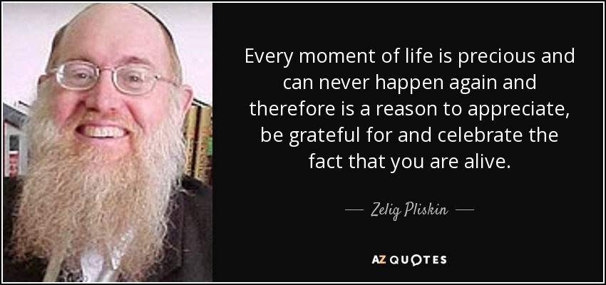 Every moment of life is precious and can never happen again and therefore is a reason to appreciate, be grateful for and celebrate the fact that you are alive. - Zelig Pliskin