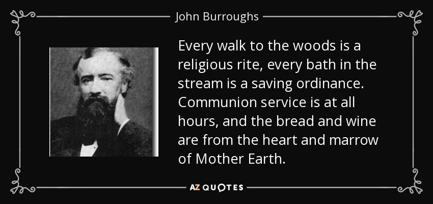 Every walk to the woods is a religious rite, every bath in the stream is a saving ordinance. Communion service is at all hours, and the bread and wine are from the heart and marrow of Mother Earth. - John Burroughs
