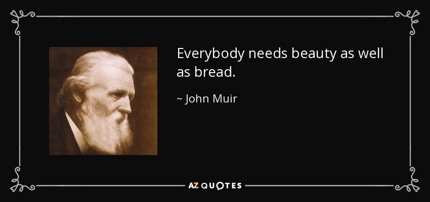 Everybody needs beauty as well as bread. - John Muir