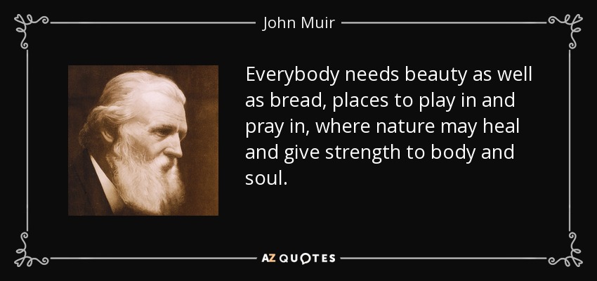 Everybody needs beauty as well as bread, places to play in and pray in, where nature may heal and give strength to body and soul. - John Muir
