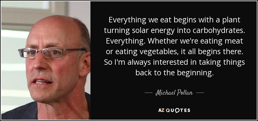 Everything we eat begins with a plant turning solar energy into carbohydrates. Everything. Whether we're eating meat or eating vegetables, it all begins there. So I'm always interested in taking things back to the beginning. - Michael Pollan