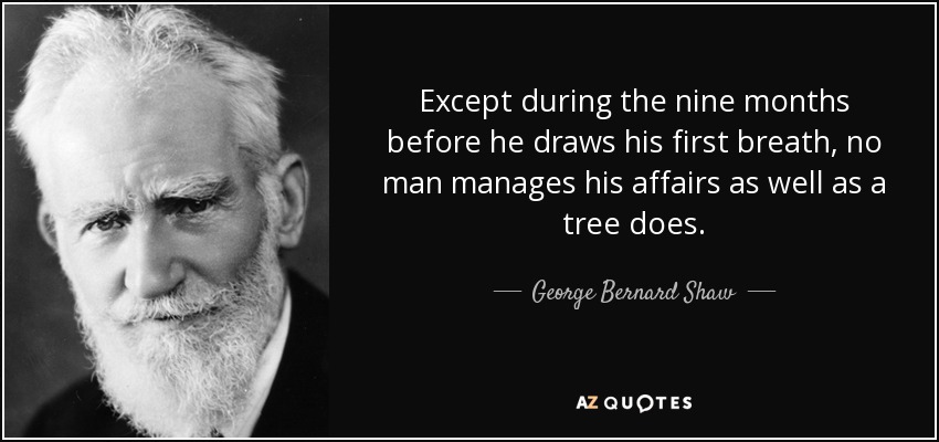Except during the nine months before he draws his first breath, no man manages his affairs as well as a tree does. - George Bernard Shaw
