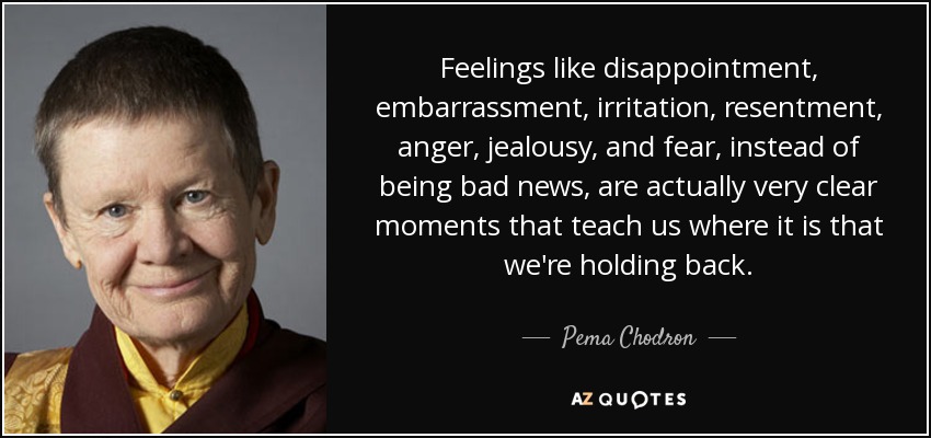 Feelings like disappointment, embarrassment, irritation, resentment, anger, jealousy, and fear, instead of being bad news, are actually very clear moments that teach us where it is that we're holding back. - Pema Chodron
