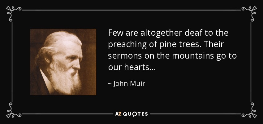 Few are altogether deaf to the preaching of pine trees. Their sermons on the mountains go to our hearts . . . - John Muir