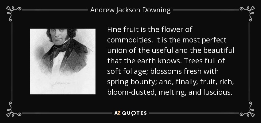 Fine fruit is the flower of commodities. It is the most perfect union of the useful and the beautiful that the earth knows. Trees full of soft foliage; blossoms fresh with spring bounty; and, finally, fruit, rich, bloom-dusted, melting, and luscious. - Andrew Jackson Downing