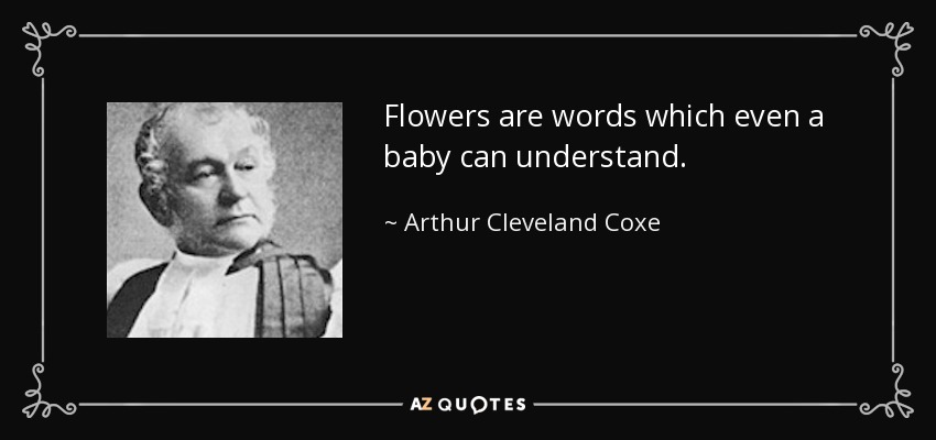 Flowers are words which even a baby can understand. - Arthur Cleveland Coxe