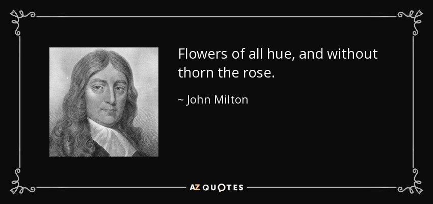 Flowers of all hue, and without thorn the rose. - John Milton