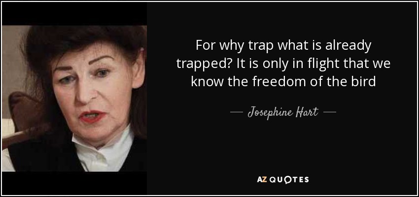 For why trap what is already trapped? It is only in flight that we know the freedom of the bird - Josephine Hart