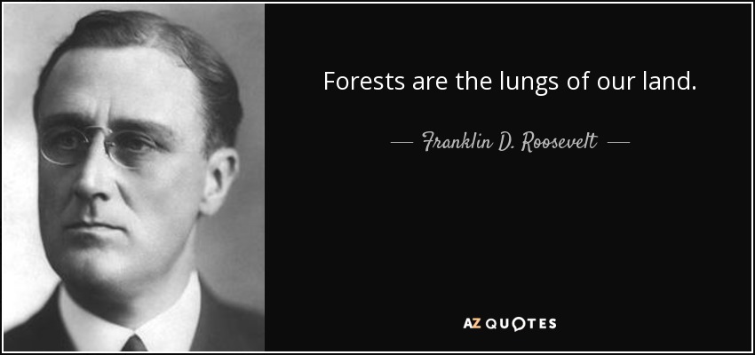 Forests are the lungs of our land. - Franklin D. Roosevelt