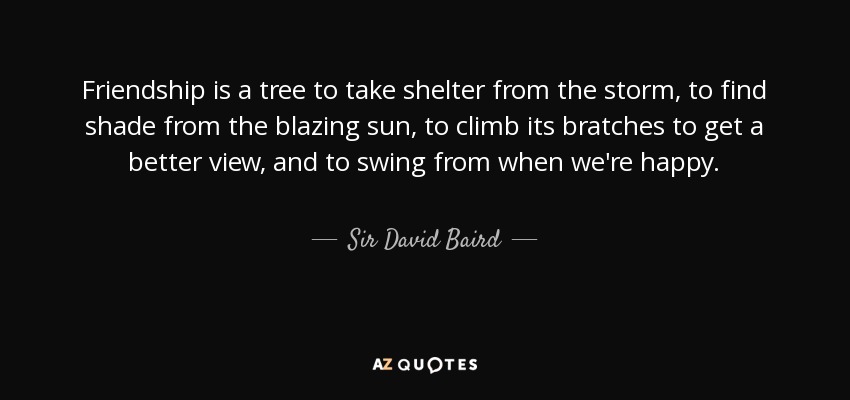 Friendship is a tree to take shelter from the storm, to find shade from the blazing sun, to climb its bratches to get a better view, and to swing from when we're happy. - Sir David Baird, 1st Baronet