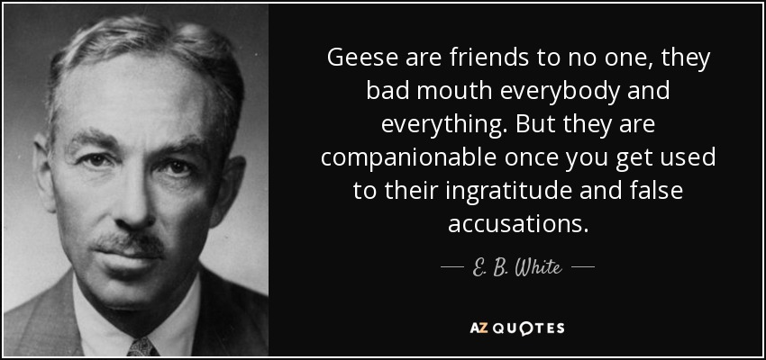 Geese are friends to no one, they bad mouth everybody and everything. But they are companionable once you get used to their ingratitude and false accusations. - E. B. White