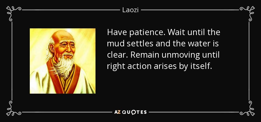 Have patience. Wait until the mud settles and the water is clear. Remain unmoving until right action arises by itself. - Laozi