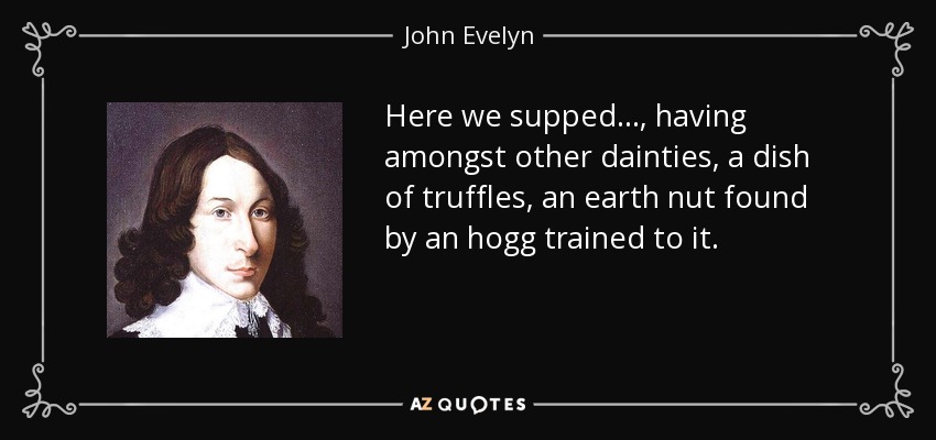 Here we supped . . ., having amongst other dainties, a dish of truffles, an earth nut found by an hogg trained to it. - John Evelyn