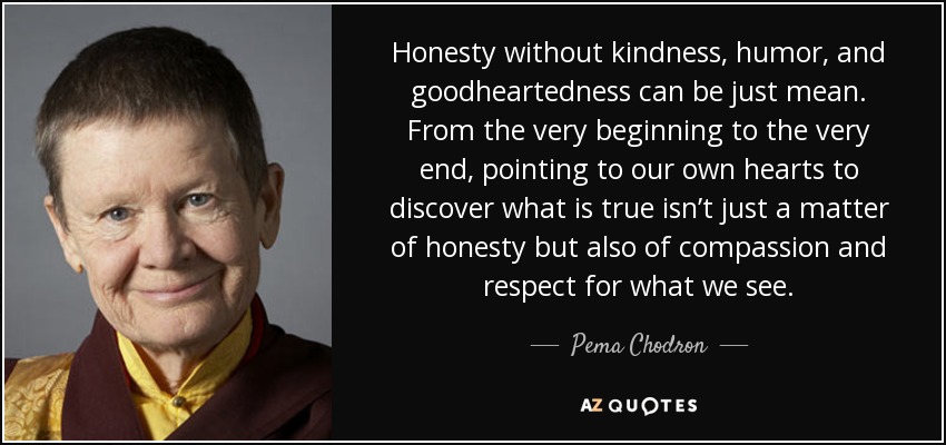 Honesty without kindness, humor, and goodheartedness can be just mean. From the very beginning to the very end, pointing to our own hearts to discover what is true isn’t just a matter of honesty but also of compassion and respect for what we see. - Pema Chodron