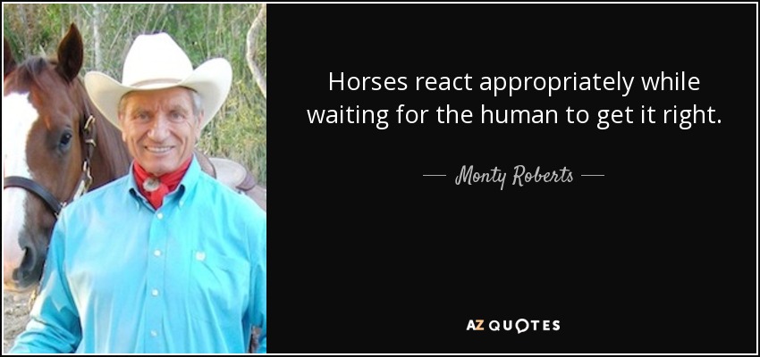 Horses react appropriately while waiting for the human to get it right. - Monty Roberts