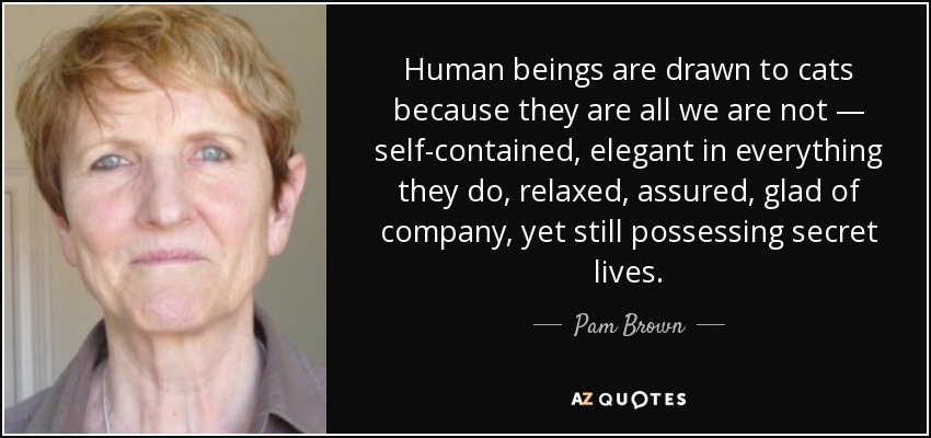 Human beings are drawn to cats because they are all we are not — self-contained, elegant in everything they do, relaxed, assured, glad of company, yet still possessing secret lives. - Pam Brown