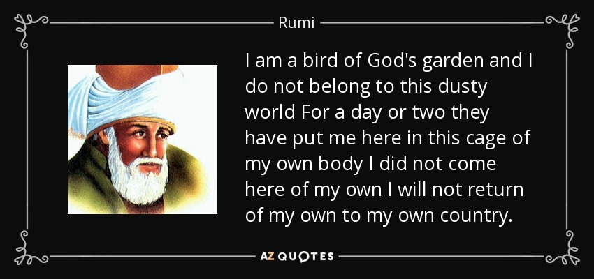 I am a bird of God's garden and I do not belong to this dusty world For a day or two they have put me here in this cage of my own body I did not come here of my own I will not return of my own to my own country. - Rumi
