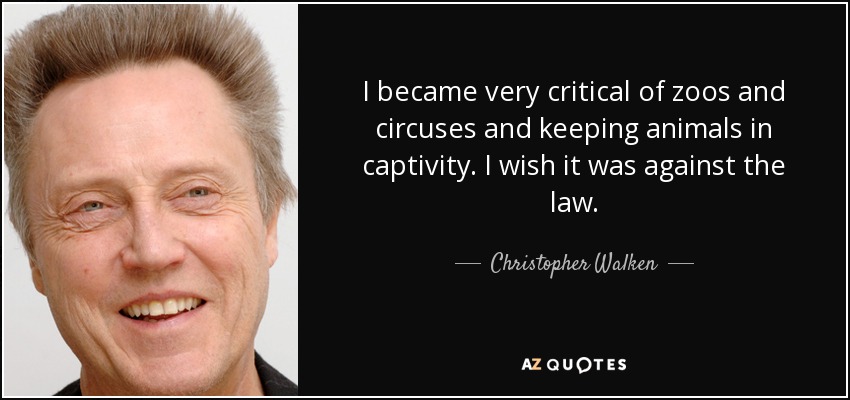 I became very critical of zoos and circuses and keeping animals in captivity. I wish it was against the law. - Christopher Walken