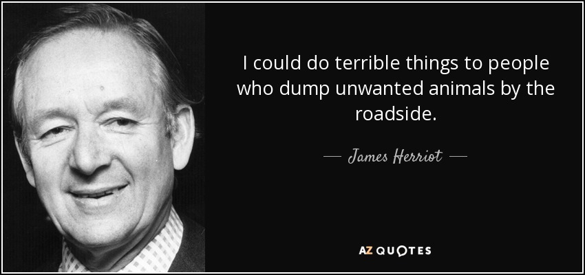 I could do terrible things to people who dump unwanted animals by the roadside. - James Herriot