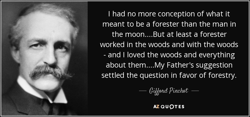 I had no more conception of what it meant to be a forester than the man in the moon....But at least a forester worked in the woods and with the woods - and I loved the woods and everything about them....My Father's suggestion settled the question in favor of forestry. - Gifford Pinchot