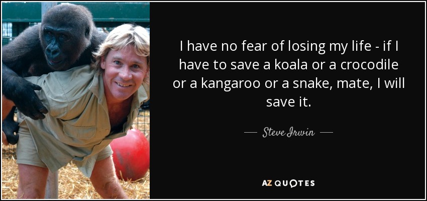 No tengo miedo a perder la vida: si tengo que salvar a un koala, a un cocodrilo, a un canguro o a una serpiente, amigo, lo salvaré. - Steve Irwin