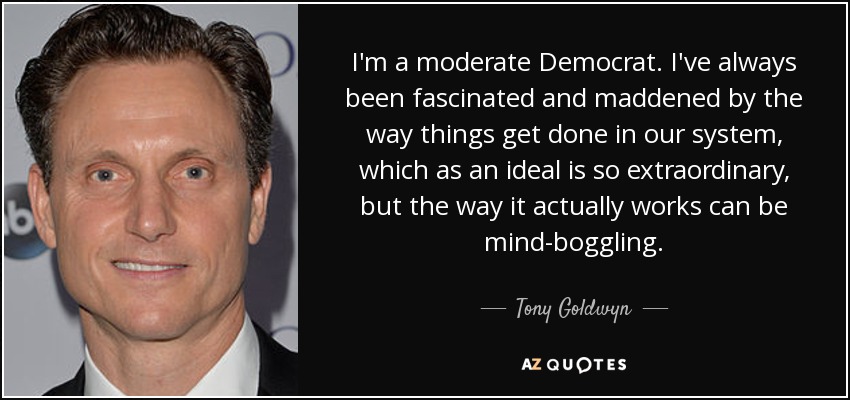I'm a moderate Democrat. I've always been fascinated and maddened by the way things get done in our system, which as an ideal is so extraordinary, but the way it actually works can be mind-boggling. - Tony Goldwyn
