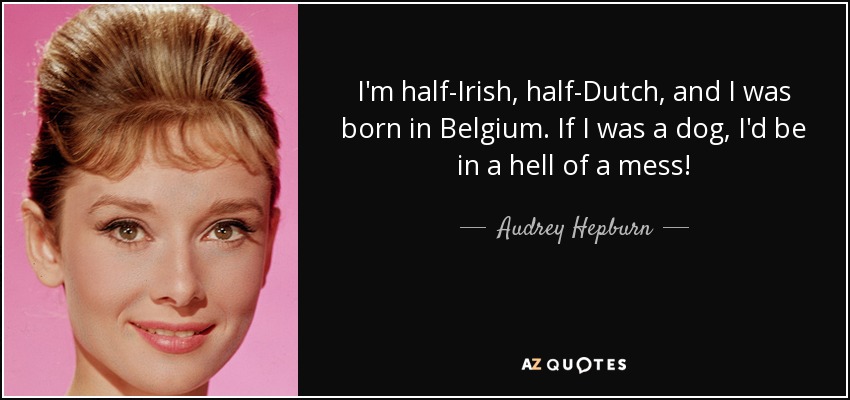 I'm half-Irish, half-Dutch, and I was born in Belgium. If I was a dog, I'd be in a hell of a mess! - Audrey Hepburn