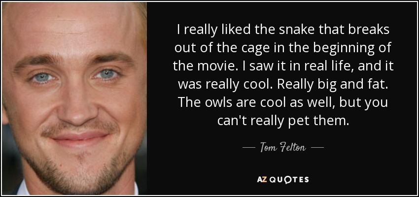 Me gustó mucho la serpiente que se escapa de la jaula al principio de la película. La vi en la vida real, y era realmente genial. Muy grande y gorda. Los búhos también molan, pero no se pueden acariciar. - Tom Felton