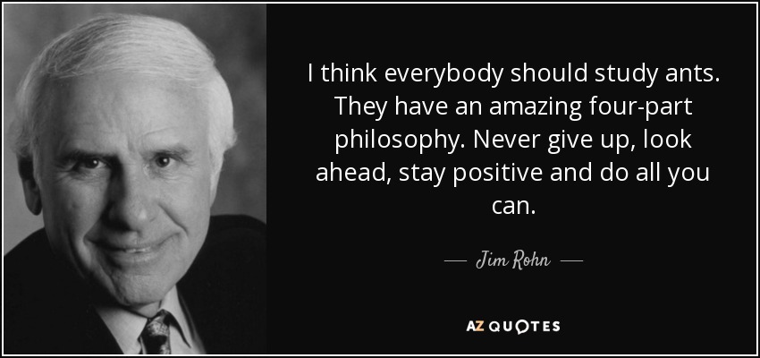 I think everybody should study ants. They have an amazing four-part philosophy. Never give up, look ahead, stay positive and do all you can. - Jim Rohn