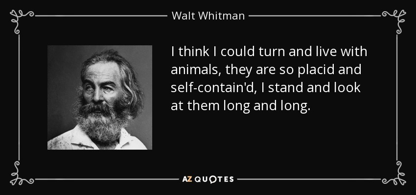 I think I could turn and live with animals, they are so placid and self-contain'd, I stand and look at them long and long. - Walt Whitman