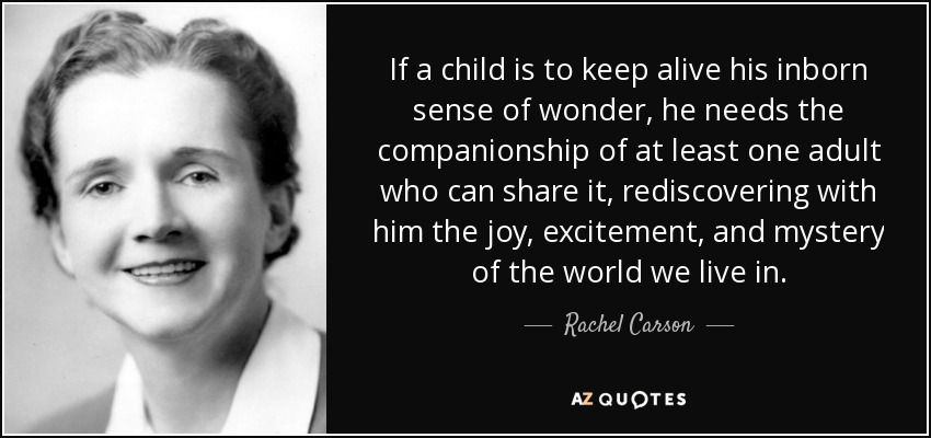 Si un niño ha de mantener vivo su sentido innato de la maravilla, necesita la compañía de al menos un adulto que pueda compartirlo, redescubriendo con él la alegría, la emoción y el misterio del mundo en que vivimos. - Rachel Carson