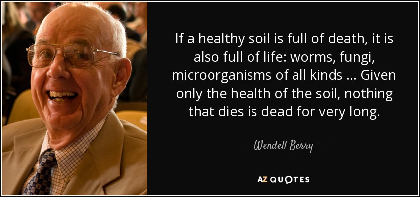 If a healthy soil is full of death, it is also full of life: worms, fungi, microorganisms of all kinds ... Given only the health of the soil, nothing that dies is dead for very long. - Wendell Berry