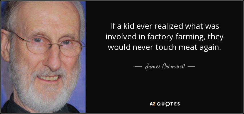 If a kid ever realized what was involved in factory farming, they would never touch meat again. - James Cromwell