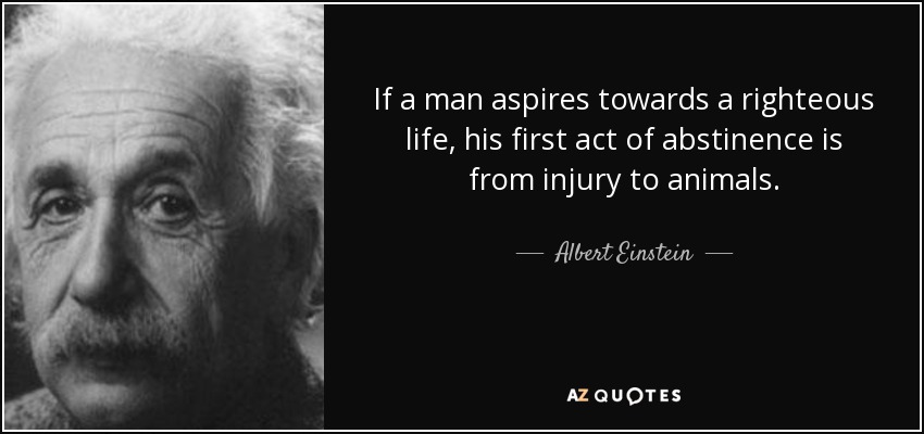 If a man aspires towards a righteous life, his first act of abstinence is from injury to animals. - Albert Einstein