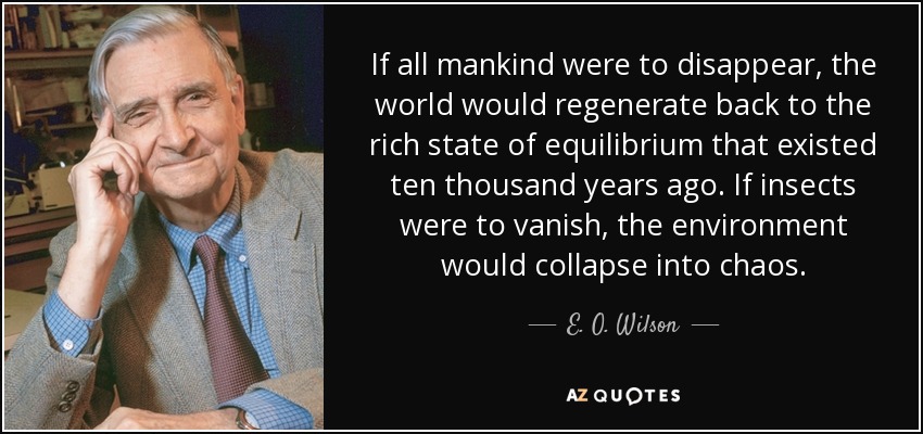 If all mankind were to disappear, the world would regenerate back to the rich state of equilibrium that existed ten thousand years ago. If insects were to vanish, the environment would collapse into chaos. - E. O. Wilson