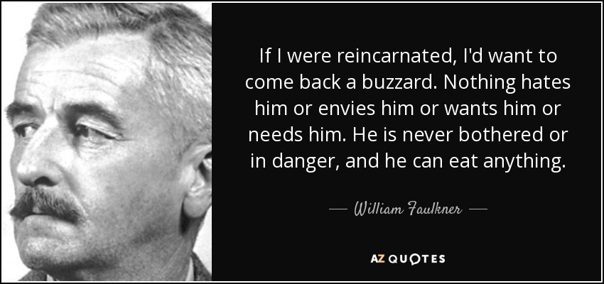 If I were reincarnated, I'd want to come back a buzzard. Nothing hates him or envies him or wants him or needs him. He is never bothered or in danger, and he can eat anything. - William Faulkner