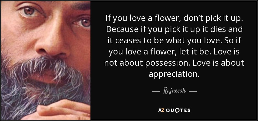 If you love a flower, don’t pick it up. Because if you pick it up it dies and it ceases to be what you love. So if you love a flower, let it be. Love is not about possession. Love is about appreciation. - Rajneesh