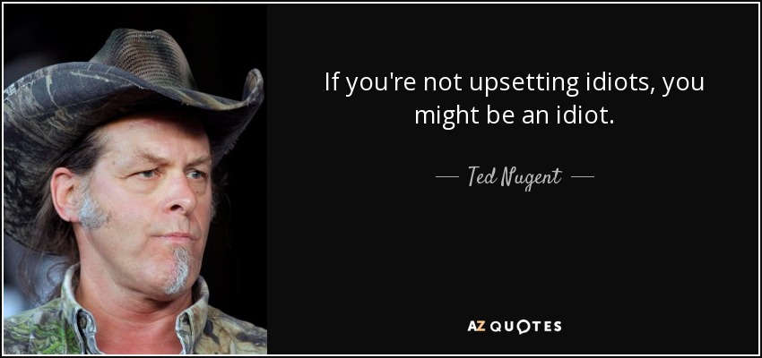 If you're not upsetting idiots, you might be an idiot. - Ted Nugent