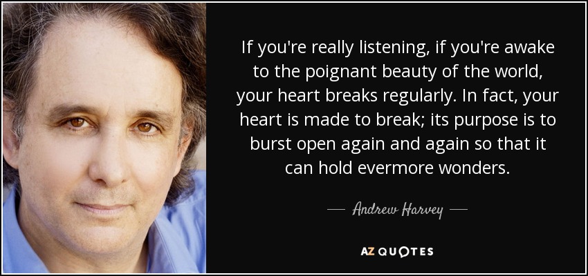 If you're really listening, if you're awake to the poignant beauty of the world, your heart breaks regularly. In fact, your heart is made to break; its purpose is to burst open again and again so that it can hold evermore wonders. - Andrew Harvey