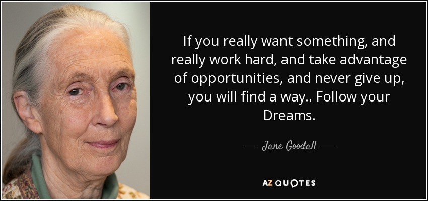 If you really want something, and really work hard, and take advantage of opportunities, and never give up, you will find a way.. Follow your Dreams. - Jane Goodall