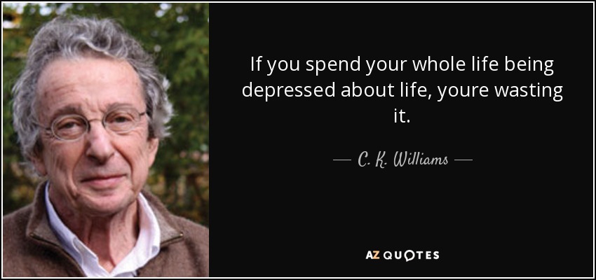 If you spend your whole life being depressed about life, youre wasting it. - C. K. Williams