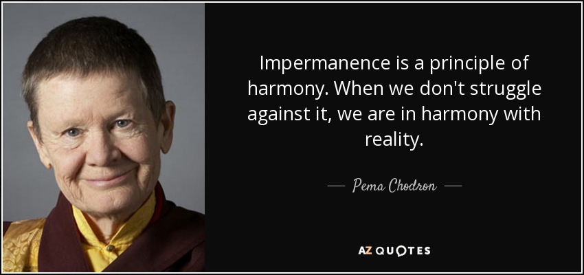 Impermanence is a principle of harmony. When we don't struggle against it, we are in harmony with reality. - Pema Chodron