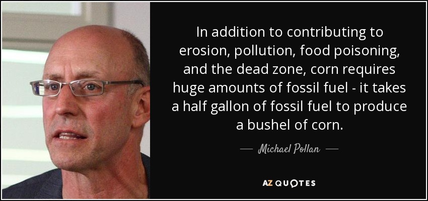 In addition to contributing to erosion, pollution, food poisoning, and the dead zone, corn requires huge amounts of fossil fuel - it takes a half gallon of fossil fuel to produce a bushel of corn. - Michael Pollan