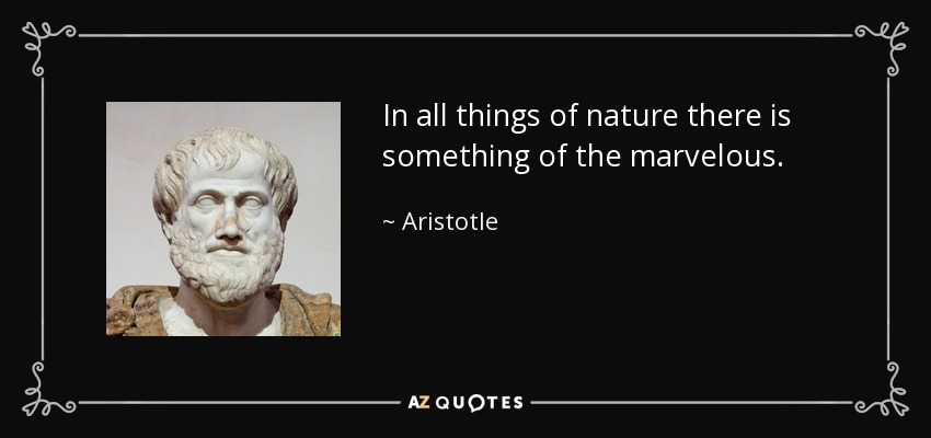 En todas las cosas de la naturaleza hay algo de maravilloso. - Aristotle