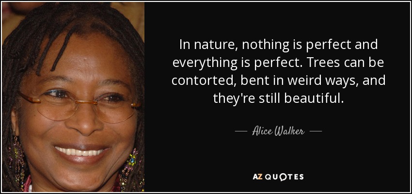En la naturaleza, nada es perfecto y todo es perfecto. Los árboles pueden contorsionarse, doblarse de formas extrañas, y siguen siendo hermosos. - Alice Walker