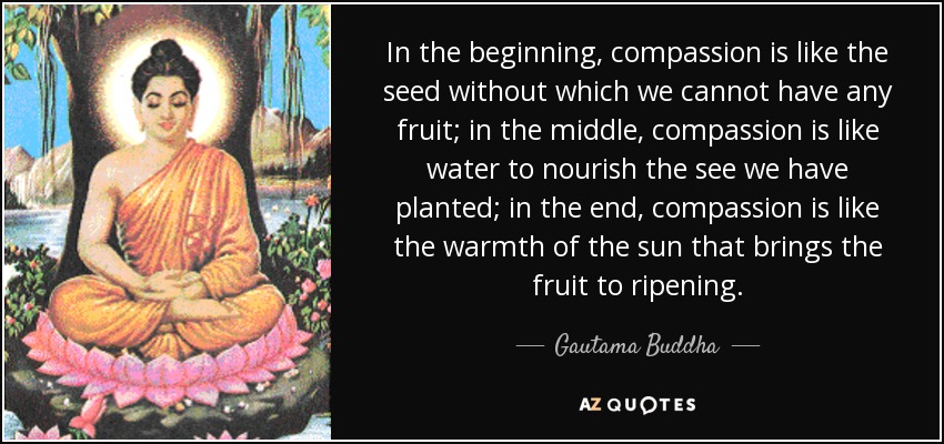 In the beginning, compassion is like the seed without which we cannot have any fruit; in the middle, compassion is like water to nourish the see we have planted; in the end, compassion is like the warmth of the sun that brings the fruit to ripening. - Gautama Buddha