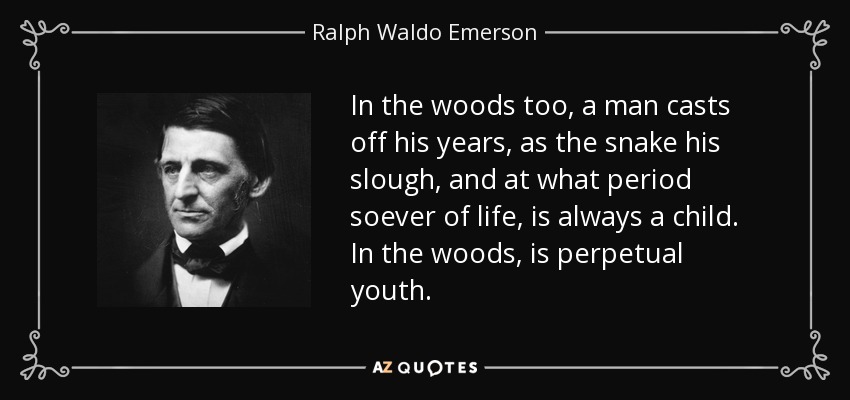 In the woods too, a man casts off his years, as the snake his slough, and at what period soever of life, is always a child. In the woods, is perpetual youth. - Ralph Waldo Emerson