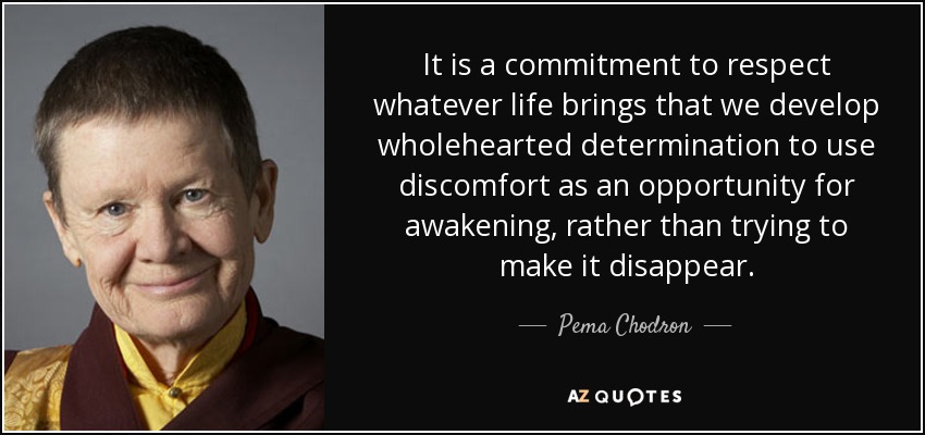 It is a commitment to respect whatever life brings that we develop wholehearted determination to use discomfort as an opportunity for awakening, rather than trying to make it disappear. - Pema Chodron
